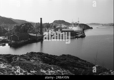 Derzeit 10-9-1960: Schwimmender Sarg Flakke repariert alte Wannen in seiner eigenen Werkstatt, die nicht den professionellen Standards entsprechen. Foto: Sverre A. Børretzen / Aktuell / NTB ***FOTO NICHT IMAGE PROCESSED*** Stockfoto