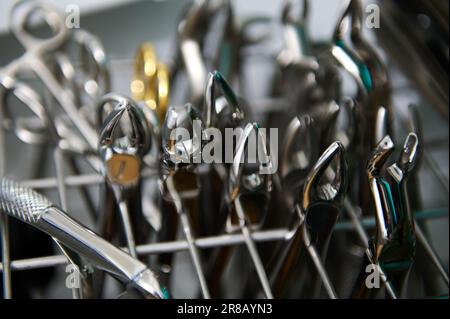 Fokus auf professionelle zahnärztliche Extraktionspinzetten aus Edelstahl, die unter UV-Licht in einem Autoklav sterilisiert werden Stockfoto