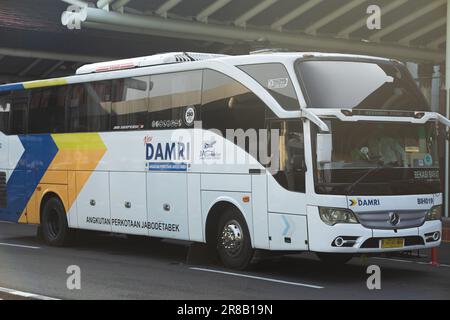 Damri-Bus am flughafen soekarno hatta. Berühmte Busse in Jakarta. Stockfoto