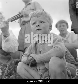 Actual 17-1950: Während die Kinder auf der Flucht sind, haben sich norwegische Verlage für bis zu 6 Wochen zusammengeschlossen und freie Urlaubskolonie für Kinder von Schriftstellern geschaffen. Sie gibt den Autoren die Möglichkeit, den Sommer zu nutzen, um über die Manuskripte von Büchern zu schwitzen, die hoffentlich noch vor Weihnachten veröffentlicht werden. Klaus Hagerup, Sohn des Dichters Inger Hagerup, sieht nachdenklich aus. Foto: Sverre A. Børretzen / Aktuell / NTB ***FOTO NICHT IMAGE PROCESSED*** Stockfoto