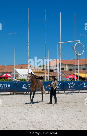 Europa, Portugal, Alentejo Region, Golega, Frau in traditionellem Kostüm, die dem Publikum auf der Pferdemesse „Mares and Foals“ einen Colt vorführt Stockfoto