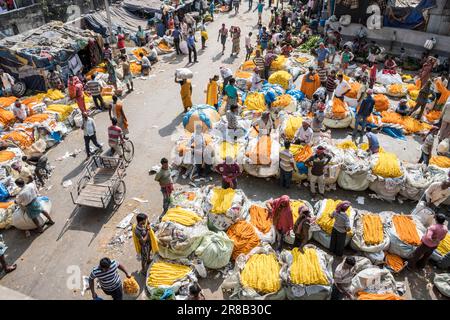 Der Mallick Ghat Blumenmarkt in Kalkutta, Indien Stockfoto