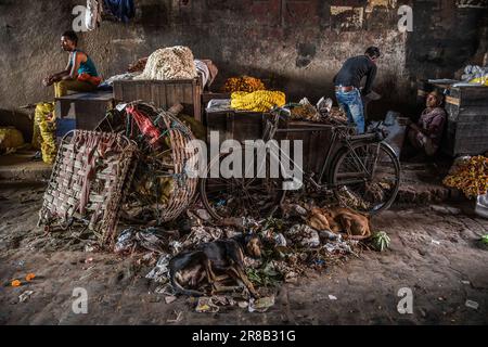 Ein Händler hält auf dem Mallick Ghat Flower Market in Kalkutta, Indien Stockfoto