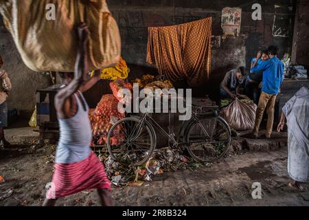 Arbeiter auf dem Mallick Ghat Flower Market in Kalkutta, Indien Stockfoto