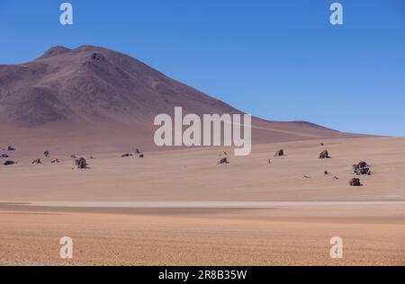 Malerische Wüste Salvador Dali, nur ein natürlicher Anblick auf der malerischen Lagunenroute durch den bolivianischen Altiplano in Südamerika Stockfoto
