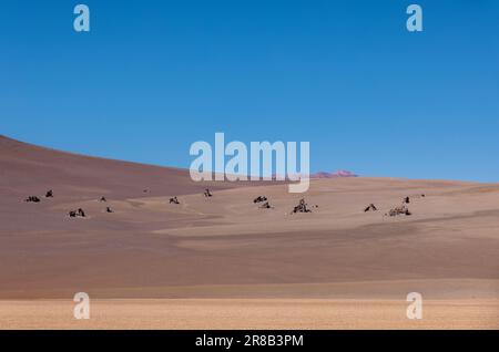 Malerische Wüste Salvador Dali, nur ein natürlicher Anblick auf der malerischen Lagunenroute durch den bolivianischen Altiplano in Südamerika Stockfoto