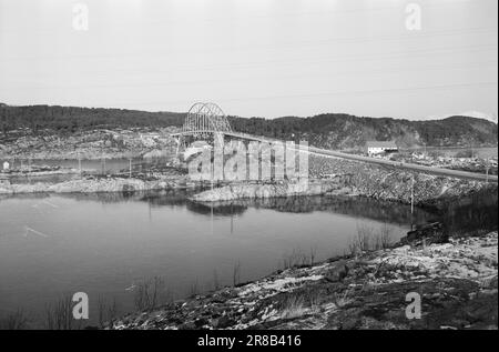 Derzeit 10-9-1960: Schwimmender Sarg Flakke repariert alte Wannen in seiner eigenen Werkstatt, die nicht den professionellen Standards entsprechen. Foto: Sverre A. Børretzen / Aktuell / NTB ***FOTO NICHT IMAGE PROCESSED*** Stockfoto