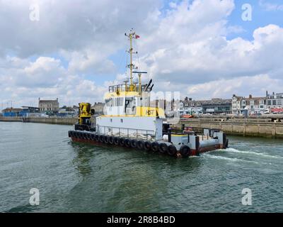 Lowestoft, Suffolk - 19. Juni 2023 : HST Hazel Multicat 2309 Schlepper im Hafen. Stockfoto