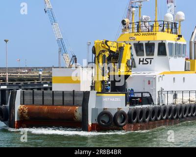 Lowestoft, Suffolk - 19. Juni 2023 : HST Hazel Multicat 2309 Schlepper im Hafen. Stockfoto