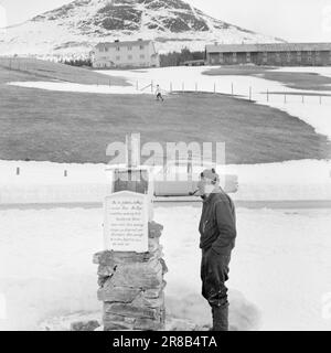 Derzeit 18.-7.-1960: Strømbu-Kara sechs alte Junggesellen betreiben eine Pension in Sollia und machen es so gemütlich für die Gäste, dass sie zwanzig Jahre in Folge wiederkommen. Foto: Aage Storløkken / Aktuell / NTB ***FOTO NICHT VERARBEITET*** Stockfoto