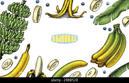 Poster oder Banner mit Bananenfrüchten und Palmenblättern. Handgemalt mit Tinte im Vintage-Stil. Lineares Grafikdesign. Detaillierte vegetarische Speisen. Vektor Stock Vektor