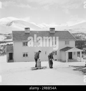 Derzeit 18.-7.-1960: Strømbu-Kara sechs alte Junggesellen betreiben eine Pension in Sollia und machen es so gemütlich für die Gäste, dass sie zwanzig Jahre in Folge wiederkommen. Foto: Aage Storløkken / Aktuell / NTB ***FOTO NICHT VERARBEITET*** Stockfoto