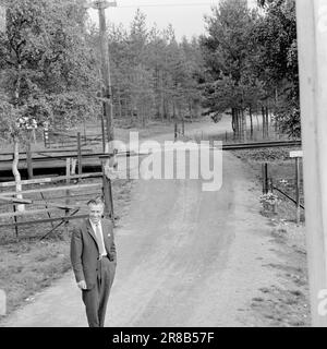 Aktuell 39-7-1960: Schlupfloch an der Grenze, an der sich Morokulien heute befindet, fand eines der erstaunlichsten illegalen Abenteuer des Krieges statt. Die Hauptverbindungsleitung zwischen Hjemmefront und Utefront verläuft direkt an den Nasen der deutschen Wachen vorbei. Foto: Aage Storløkken / Aktuell / NTB ***FOTO NICHT VERARBEITET*** Stockfoto