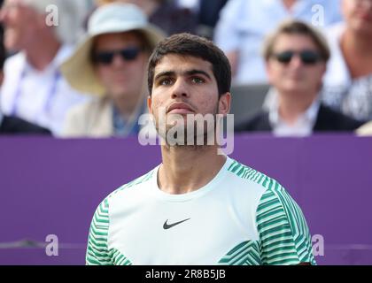 20. Juni 2023; Cinch Championships, Queens Club, West Kensington, London, England: Cinch Championships Queens Club, 2. Tag; Carlos Alcaraz (ESP) schaut auf die Anzeigetafel Stockfoto