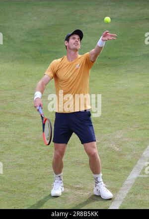 20. Juni 2023; Cinch Championships, Queens Club, West Kensington, London, England: Cinch Championships Queens Club, 2. Tag; Andy Murray (GBR) serviert Alex de Minaur (AUS) Stockfoto