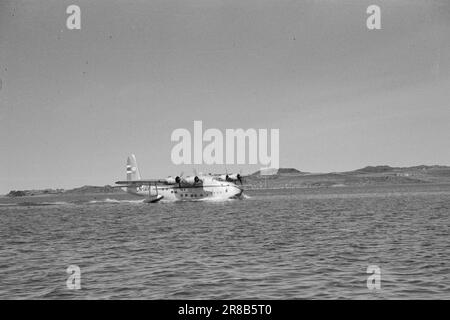 Derzeit 10-1947: Die fliegende Expressstrecke entlang Norwegens mit der fliegenden Hurtigrute auf der regulären Strecke, die im Juni eröffnet wird, startet jeden Morgen ein Flug von Tromsø und ein Flug von Stavanger, während einer in Reserve ist. Die Flugzeit beträgt etwa neun Stunden mit zusätzlichen Zwischenstopps in Bergen, Oslo, Trondheim, Brønnøysund/Sandnessjøen, Bodø und Harstad. Von Tromsø aus startet die Route Hammerfest–Vadsø–Kirkenes hodt mit anderen Flügen dreimal pro Woche. Die Fahrt Kirkenes–Oslo dauert daher zwei Tage mit dem fliegenden Hurtigruten. Jetzt vergeht etwa eine Woche. Das „Ei“ Stockfoto