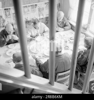 Derzeit 18.-7.-1960: Strømbu-Kara sechs alte Junggesellen betreiben eine Pension in Sollia und machen es so gemütlich für die Gäste, dass sie zwanzig Jahre in Folge wiederkommen. Foto: Aage Storløkken / Aktuell / NTB ***FOTO NICHT VERARBEITET*** Stockfoto