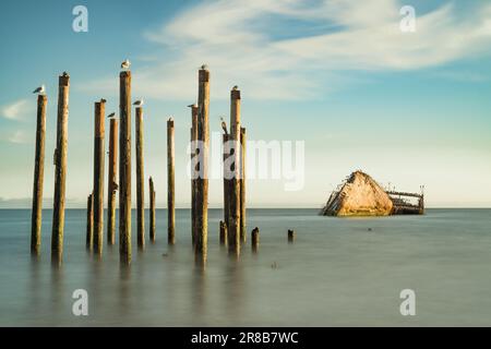 Die verbleibenden Fundamente des Monterey Pier in Aptos und SS Palo Alto, Kalifornien (in der Nähe von Santa Cruz, Kalifornien) Stockfoto