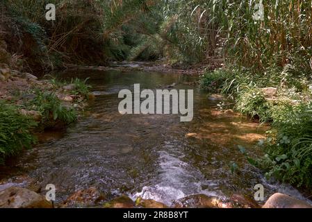 Bergfluss mit ruhigem, kristallklarem Wasser. Graue Haare, einsam, transparent, friedliche Vegetation peidras Stockfoto