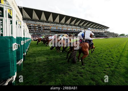 Läufer und Reiter starten das Copper Horse Handicap am ersten Tag des Royal Ascot auf der Ascot Rennbahn in Berkshire. Foto: Dienstag, 20. Juni 2023. Stockfoto