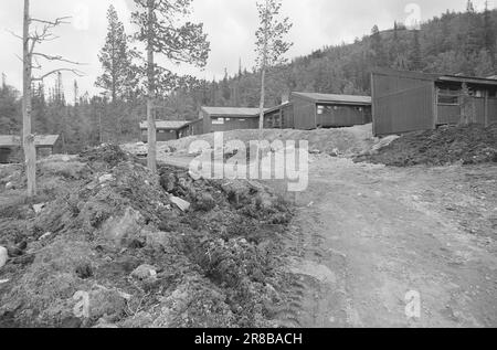 Aktuell 28 - 3 - 1974: Kabinenurlaub in einer neuen WegEven in Norwegen haben wir keinen Platz für eine unbegrenzte Anzahl von Hütten und Ferienhäusern in unserer geräumigen Natur, wenn es unberührte Gebiete bleiben soll. Wir müssen mehr Leute für jede Hütte zusammenbringen und sie in Dörfern mit guter Abfallentsorgung und Abwasser abholen, wie es in Gausta Fjellgrend geschehen ist. In Gausta Fjellgrende besitzen 48 Genossenschaftsbesitzer acht komfortable und attraktive Hütten. Foto: Sverre A. Børretzen / Aktuell / NTB ***FOTO NICHT IMAGE PROCESSED*** Stockfoto