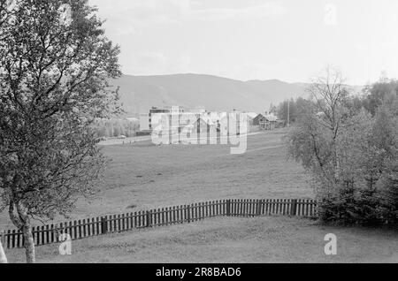 Aktuell 28 - 1 - 1974: Organisationsfreiheit nur eine Organisationsfreiheit nur ein Mythos nur zwei der Hotels in Hallingdal haben einen Tarifvertrag mit dem Hotell- Og Restaurantarbeiderforbundet. Wenn die Mitarbeiter ein Interesse an der Organisation zeigen, werden sie von den Hotelbesitzern belästigt und mit Entlassung bedroht, die von der Unterdrückung ihrer Arbeiter in hohem Maße profitieren. Foto: Ivar Aaserut/Aktuell/NTB ***FOTO NICHT ABGEBILDET*** Stockfoto