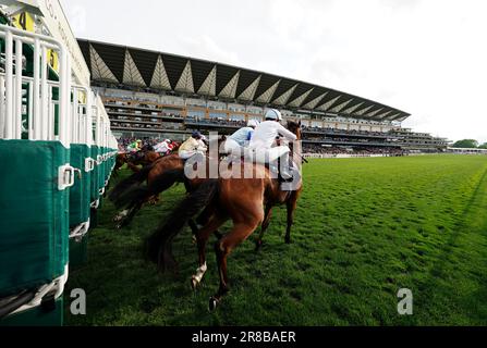 Läufer und Reiter starten das Copper Horse Handicap am ersten Tag des Royal Ascot auf der Ascot Rennbahn in Berkshire. Foto: Dienstag, 20. Juni 2023. Stockfoto