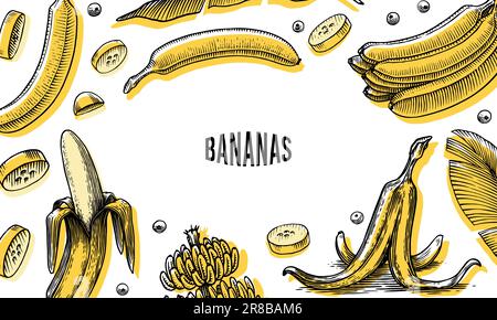 Poster oder Banner mit Bananenfrüchten und Palmenblättern. Handgemalt mit Tinte im Vintage-Stil. Lineares Grafikdesign. Detaillierte vegetarische Speisen. Vektor Stock Vektor