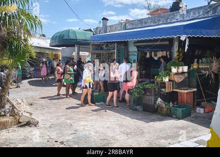 Touristen auf Tour zum Mercado 28 Market in der Innenstadt von Cancun Yucatan Halbinsel Mexiko Stockfoto