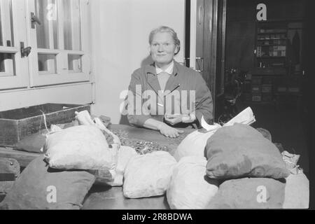 Aktuell 6-2-1960: Geburt und Tod der Krone Aktuell folgte dem Erstellungsprozess eines Kronenstücks in Mynta. Foto: Ivar Aaserud / Aktuell / NTB ***FOTO NICHT ABGEBILDET*** Stockfoto