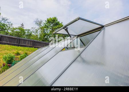 Blick auf das Gewächshaus im privaten Garten mit offenem Fenster an der Decke zur Belüftung im Sommer. Stockfoto