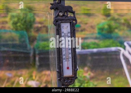 Nahaufnahme des Thermometers zur Anzeige der Lufttemperatur im Gewächshaus am Sommertag. Stockfoto