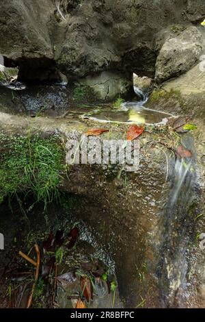 Faszinierender kleiner städtischer Wasserfall im Parc des Buttes-Chaumont aus nächster Nähe. Intime Naturlandschaft in Paris, Frankreich Stockfoto