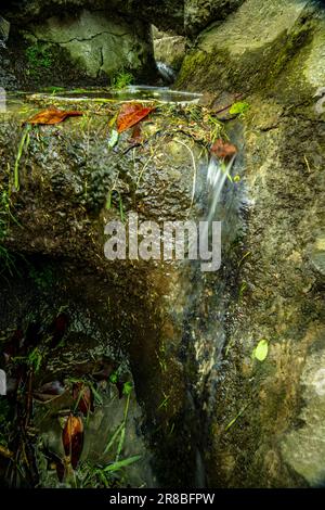 Faszinierender kleiner städtischer Wasserfall im Parc des Buttes-Chaumont aus nächster Nähe. Intime Naturlandschaft in Paris, Frankreich Stockfoto