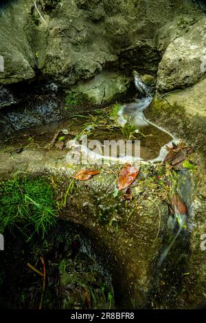 Faszinierender kleiner städtischer Wasserfall im Parc des Buttes-Chaumont aus nächster Nähe. Intime Naturlandschaft in Paris, Frankreich Stockfoto