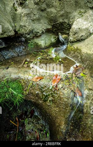 Faszinierender kleiner städtischer Wasserfall im Parc des Buttes-Chaumont aus nächster Nähe. Intime Naturlandschaft in Paris, Frankreich Stockfoto