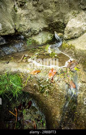 Faszinierender kleiner städtischer Wasserfall im Parc des Buttes-Chaumont aus nächster Nähe. Intime Naturlandschaft in Paris, Frankreich Stockfoto