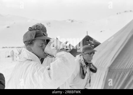 Tatsächlich 06-1950: Anspruchsvoller bergmarsch. Die Schüler der Kommandoschule für die Infanterie und der Feldwebel, 450 Männer, waren auf einem sechstägigen bergmarsch mit kompletter Winterausrüstung und Rüstung. Foto; Sverre A. Børretzen/Aktuell/NTB ***PHOTO NOT IMAGE PROCESSED*** Stockfoto