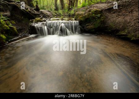 Weitläufiger Blick auf den kleinen Wasserfall in Keston, Sonnenschein im späten Frühling durch die Blätter im Hintergrund. Teilweise nebiges Wasser explodiert in Richtung Kamera Stockfoto