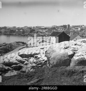 Tatsächlich 11 803-1-1947: Wiederaufbau in Kristiansund Kristiansund N. die auf Felsen und Bergen gebaute Stadt verschwand nach dem deutschen Bombenanschlag im Jahr 1940 in einem einzigen riesigen Feuer. Die Spuren sind fast gelöscht. Seit 7 Jahren leben sie in Baracken, so nah wie Hering in einem Fass. Noch sind nicht alle in die Stadt zurückgekehrt. Jetzt wird die Stadt wieder aufgebaut, aber es braucht Zeit. Jeden Tag freuen sich die Kristiansund-Leute über die Entwicklung, und während sie darauf warten, dass sie einziehen, trocknen sie Felsfische auf jedem Felsen. Foto: Per Bratland / Aktuell / NTB ***FOTO NICHT ABGEBILDET*** Stockfoto