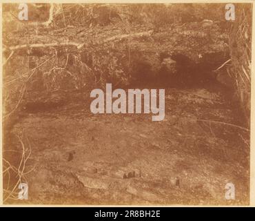 Unbenannt aus dem Portfolio The Forest: Adirondack Woods 1859 von William James Stillman, geboren in Schenectady, NY 1828, gestorben in Surrey, England 1901 Stockfoto