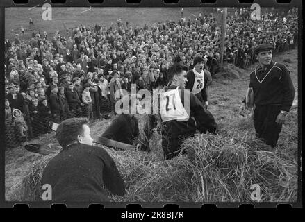 Actual 47-4-1960 : luftiger Schwebeflug ohne Schnee Bergen's Ski Circle zusammen mit Fana Idrettslag und Hoppsportens Freunden organisierten Rennen in Lilletvedtbakken in Fana außerhalb von Bergen. Der Abflusskanal war mit zerstoßenem Eis von Bergen Fiskeinwiesi überzogen. Foto: Sverre A. Børretzen / Aktuell / NTB ***FOTO NICHT IMAGE PROCESSED*** Stockfoto