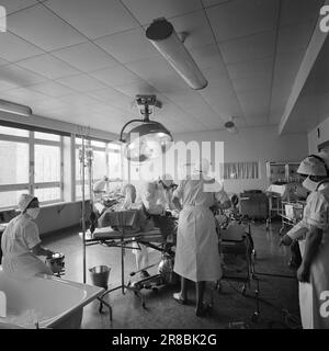 Stromstärke 16-9-1960: Ein Blick ins Gehirn für fünf Stunden der Chirurg stand am Kopf des Patienten. Und nicht eine von ihnen konnte ihn ausruhen, weil ihm ein Mensch sein Leben anvertraut hatte. Den Mitarbeitern von Aktuell wurde gestattet, die Operation bei Rikshospitalet in Oslo zu verfolgen. Foto: Aage Storløkken / Aktuell / NTB ***FOTO NICHT VERARBEITET*** Stockfoto