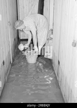 Aktuell 18-1950: Sintflut in SandefjordVestfold kam direkt in die Mitte einiger der regnerischsten Wolken, die in diesem Land in diesem, dem nassesten Monat August seit vielen Jahren beobachtet wurden. Besonders schlimm war es für die Walfangstadt Sandefjord, wo vom 8. Donnerstag, den 24. August bis 8. Am nächsten Morgen 116,4 mm Niederschlag fielen. Es ist das dritte Mal in 15 Jahren, dass große Teile der unteren Stadt einer Hochwasserkatastrophe ausgesetzt waren. Foto: O. P. Jørgensen / Dimitri Koloboff / Arne Kjus / Aktuell / NTB Stockfoto