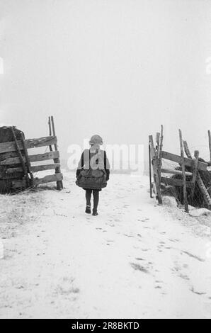 Derzeit 4-1947: Sollten Menschen in Norwegen leben [Bild 0003]die Mitarbeiter von Aktuell besuchen einen Bergbetrieb in Loen in Nordfjord. Die Farm heißt Oppheim, sie ist nicht so hoch im Vergleich zu vielen anderen Farmen in Norwegen, nur 300 Meter über dem Meeresspiegel. Aber von Opheim aus können Sie direkt hinunter in den Fjord sehen, der zwischen hohen, zerklüfteten, schneebedeckten Bergen steckt, sodass die 300 Meter einen geraden Aufstieg darstellen. Die Farm wurde seit Hunderten von Jahren von Generation zu Generation weitergegeben. Das älteste Haus auf dem Bauernhof signiert sich selbst im 16. Jahrhundert, und zu dieser Zeit war Oppheim eines von Nordfjords C. Stockfoto