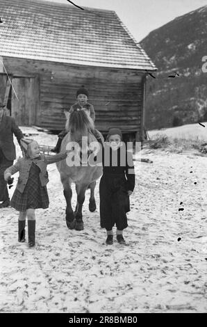 Derzeit 4-1947: Sollten Menschen in Norwegen leben [Bild 0010]die Mitarbeiter von Aktuell besuchen einen Bergbetrieb in Loen in Nordfjord. Die Farm heißt Oppheim, sie ist nicht so hoch im Vergleich zu vielen anderen Farmen in Norwegen, nur 300 Meter über dem Meeresspiegel. Aber von Opheim aus können Sie direkt hinunter in den Fjord sehen, der zwischen hohen, zerklüfteten, schneebedeckten Bergen steckt, sodass die 300 Meter einen geraden Aufstieg darstellen. Die Farm wurde seit Hunderten von Jahren von Generation zu Generation weitergegeben. Das älteste Haus auf dem Bauernhof signiert sich selbst im 16. Jahrhundert, und zu dieser Zeit war Oppheim eines von Nordfjord' Stockfoto