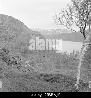 Derzeit 17-1950: Industrie in der WastelandBetween schneebedeckte Berge an der schwedischen Grenze, weit östlich von Bodø, liegt Sulitjelma. Die Menschen in dieser Bergstadt sind völlig abhängig vom Bergbau und den Minen. Die Kommunikation ist schlecht. Im Frühjahr und Herbst kann Sulitjelma vollständig von der Außenwelt isoliert werden. Die 3.000 Menschen, die dort leben, sind alle "de" und leben ihr eigenes Leben - fast wie ein Staat innerhalb eines Staates. Foto: Sverre A. Børretzen / Aktuell / NTB ***FOTO NICHT IMAGE PROCESSED*** Stockfoto