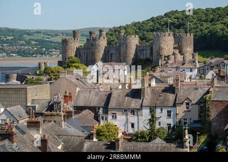 Blick von den Stadtmauern von Conwy über die Dächer nach Conwy Castle, Nordwales Stockfoto