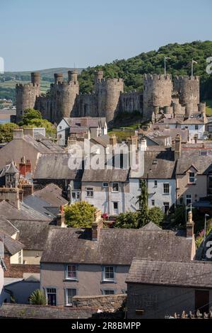 Blick von den Stadtmauern von Conwy über die Dächer nach Conwy Castle, Nordwales Stockfoto