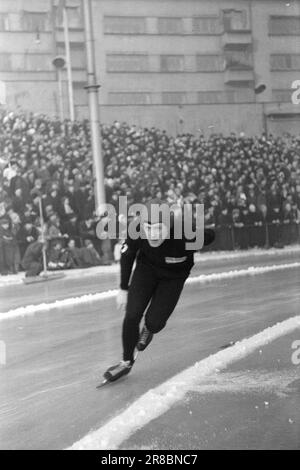 Tatsächlich 4-6-1947: WC auf EisskatingBoil für 10 Sekunden. Die Eiskunstlauf-Weltmeisterschaft 1947 verlief im Stil aller vorherigen großen Rennen dieses Jahres. Der Höhepunkt waren zweifellos die 10.000 Meter, auf denen Sverre Farstad aus Trønder gegen Finn Lassi Parkkinen kämpfte. Die Haupttribüne war während des gesamten Rennens voller Spannung, aber die trønder konnte Parkkinen nicht festhalten. Farstad verbrachte genau 10 Sekunden zu viel und wurde finnischer Weltmeister. Foto: Aktuell/NTB ***FOTO NICHT VERARBEITET*** Stockfoto